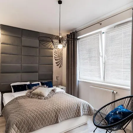 Sea Faktura コシャリン